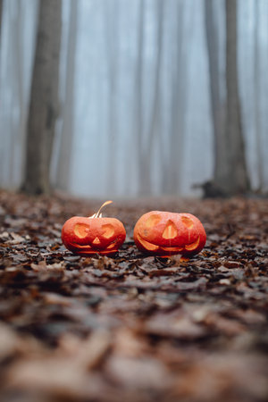Dark trees in foggy forest. Halloween pumpkins with carved face lying on countryside dirty road with fallen autumn leaves in forest in the morning.の写真素材