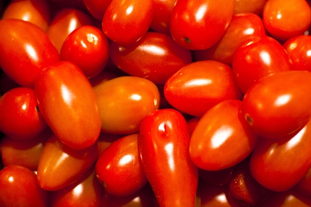 Genetically modified vegetable take place in our dayly life.の写真素材