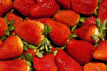 Bio srawberries being sold at the local marketの写真素材
