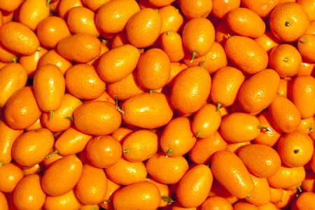 Genetically modified fruits take place in our daily life.の写真素材