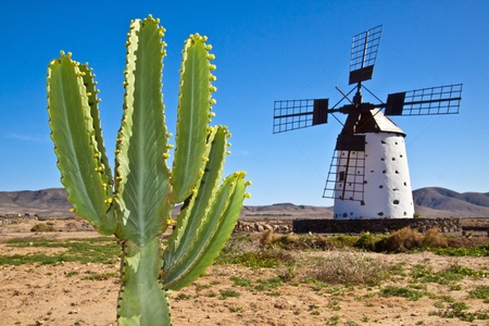 Cactus and the traditional stony windmill at the Fuertaventuraの写真素材