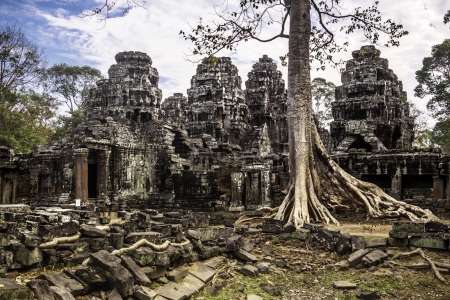 Tree in the ancient temples of Angkor Wat, near Siem Reap, Cambodia, South East Asia.の写真素材