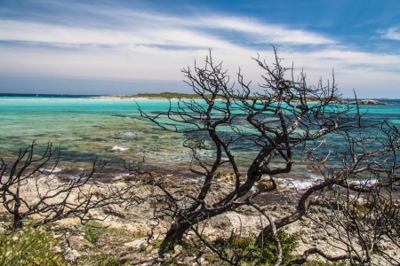 Turquoise bay as seen from Piantarella beach near Bonifacio, Corse, Franceの写真素材