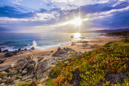 Beautiful colorful calm coastal landscape in spring on Corse, France, Europe.の写真素材