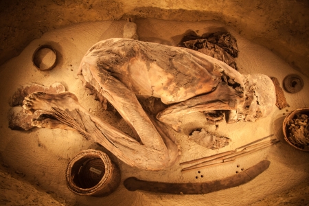 Egyptian mummy displayed in museum in Turin.のeditorial素材