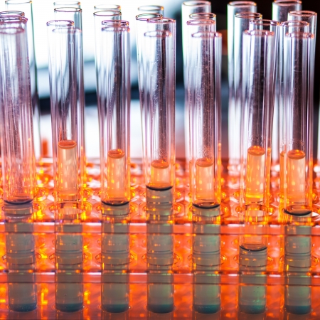 Laboratory glass test tubes filled with liquid chemical on a rack for an experiment in a science research lab の写真素材