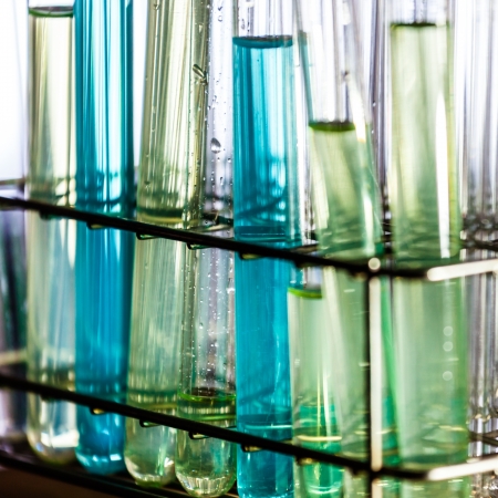 Laboratory glass test tubes filled with liquid chemical on a rack for an experiment in a science research lab の写真素材
