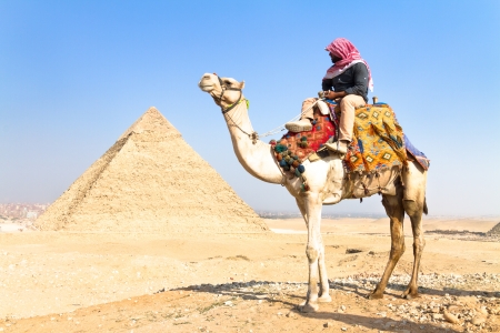A patient camel with a colorful saddle waits for its owner in front of the pyramids of Giza in Cairo, Egypt  Verticalのeditorial素材