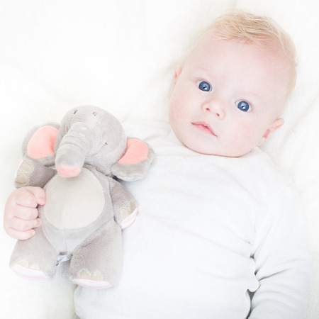 Cute blonde little baby boy with blue eyes with his favorite plush elephant toy.