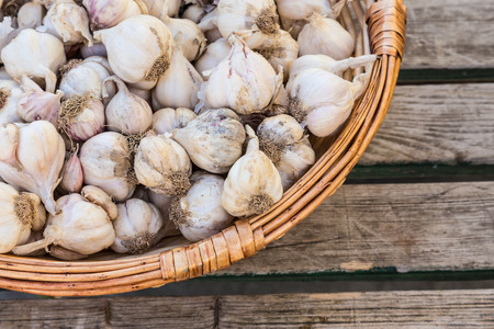 Garlic in rustic basket on old retro wooden table.の写真素材