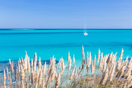 White sail boat at the beautiful turquoise blue mediterranean Pelosa beach near Stintino,Sardinia, Italy.の写真素材