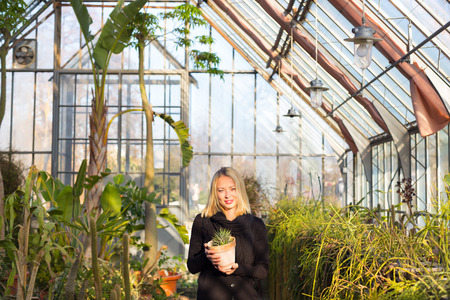 Portrait of florists woman working with flowers in a greenhouse holding a pot plant in her hand. Small business owner.の写真素材