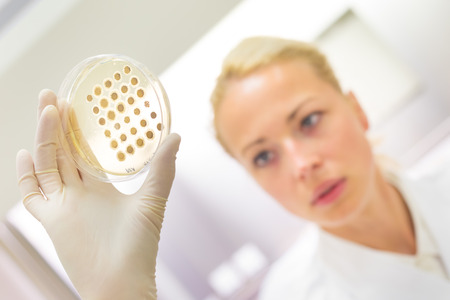 Female life science professional observing cell culture samples on LB agar medium in petri dish. ...