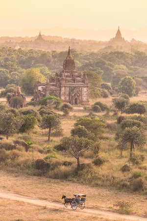 Horse carriage an a dirt road among temples of Bagan, famous ancient city located in the Mandalay Region of Burma, Myanmar, Asia.の写真素材