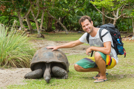 Male tourist caressing and admiring big old Aldabra giant tortoises, Aldabrachelys gigantea, in National Marine Park on Curieuse island, close to Praslin on Seychelles.の写真素材