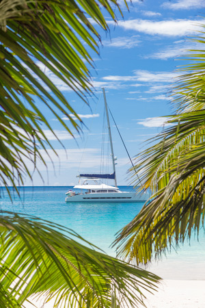 Catamaran sailing boat seen trough palm tree leaves on picture perfect Anse Lazio beach on Praslin island, Seychelles.の写真素材