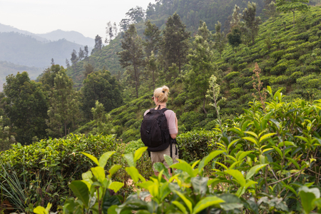 Active caucasian blonde woman enjoing fresh air and pristine nature while tracking among tea plantaitons near Ella, Sri Lanka. Bacpecking outdoors tourist adventure.の写真素材