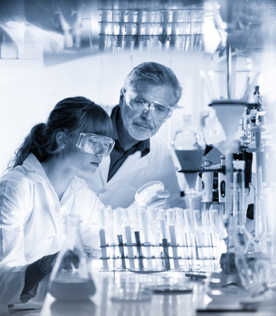 Scientists researching in scientific laboratory. Young female scientist and her senior male supervisor looking at the cell colony grown in the petri dish in the life science research laboratory.の写真素材