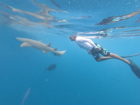 Male free diver and nurse shurk, Ginglymostoma cirratu, hovering underwater in blue ocean. Watching...