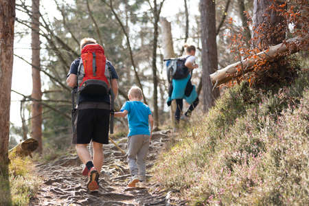 Rear view of unrecognizable young active family hiking together on mountain forest trackin in fall. Parents wearing backpacks and child toys. Active lifestyle in nature concept.の写真素材