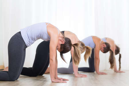 Group of young sporty women in yoga studio, practicing yoga. Healthy active lifestyle, working out...