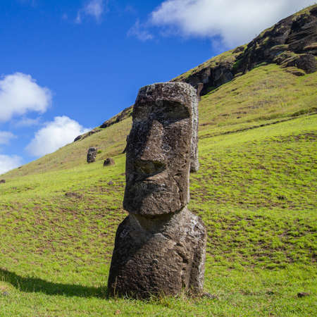 Moai stone sculptures at Rano Raraku, Easter island, Chile.の写真素材