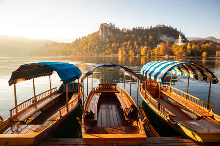 Traditional wooden boats on lake Bled, Slovenia.の写真素材