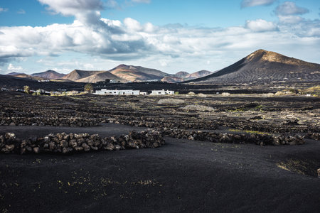 Traditional white houses in black volcanic landscape of La Geria wine growing region with view of Timanfaya National Park in Lanzarote. Touristic attraction in Lanzarote island, Canary Islands, Spainの写真素材