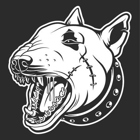 Bull terrier with skar on black backgroundのイラスト素材