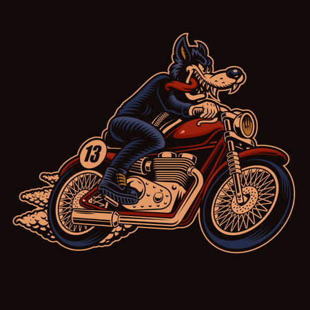 A colorful vector illustration of a wolf biker on a motorcycleのイラスト素材