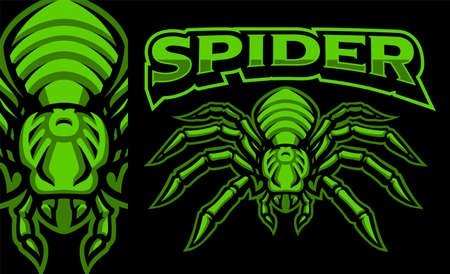 Spider mascot badge, sports emblemのイラスト素材