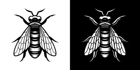 Vector illustration of a bee, this design can be used as a logo or for a honey labelのイラスト素材