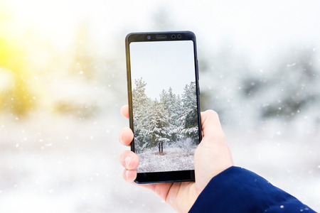 tourist takes pictures on the phone winter forest, Hiking in the winter forest, winter nature, frosty dayの写真素材
