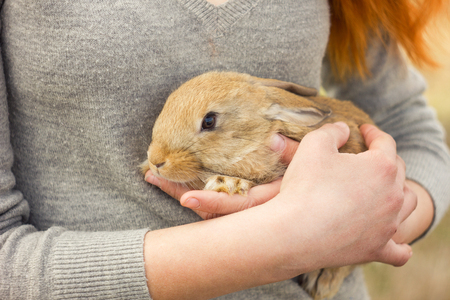 the girl with the rabbit.happy little girl holding cute fluffy Bunny.Friendship with Easter Bunny....