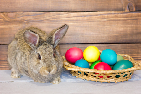 Gray rabbit with a basket of Easter eggs on the background of wooden boards, the concept for the holiday of Easterの写真素材