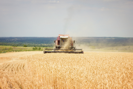 Combine mows wheat field, harvest period, agricultural landの写真素材