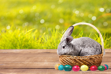 Gray easter rabbit in a basket with eggs on a wooden table, goat with a rabbit outdoors, concept to the holiday of Easterの写真素材