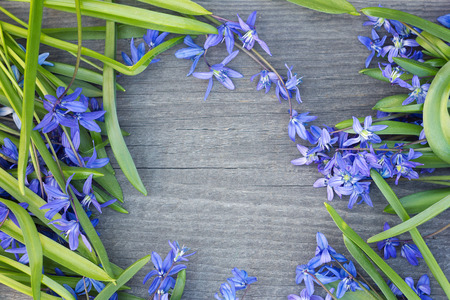 bouquet of flowers on wooden background. bouquet of flowers with a place under the inscription. snowdrops on wooden background. Flowers for designers. photo for advertising. flowering snowdropsの写真素材