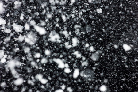white snow falls on the black sky. Snowstorm on a black background. In isolation. heavy snowfall.  drifts. severe winter.the texture is heavy snowfall on a black backgroundの写真素材