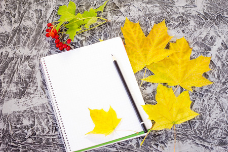 notebook with pencil in autumn style. Notepad with leaves on a beautiful background with maple leavesの写真素材