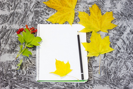 notebook with pencil in autumn style. Notepad with leaves on a beautiful background with maple leavesの写真素材