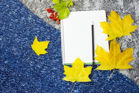 notebook on a knitted background with maple leaves, blank for the designer, with a copy of space