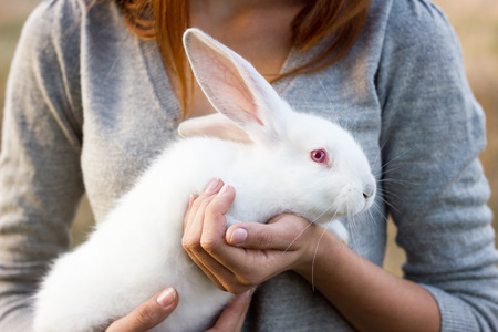 the girl with the rabbit.happy little girl holding cute fluffy Bunny.Friendship with Easter Bunny. Spring photo with beautiful young girl with her Bunny. Girl is holding a cute little rabbitの写真素材