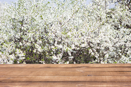 wooden table against the background of a blossoming tree. Place under the inscription. Spring conceptの写真素材
