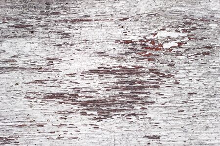 Texture shabby paint on the tree. Old white scratched wooden background. Empty wooden backgroundの写真素材