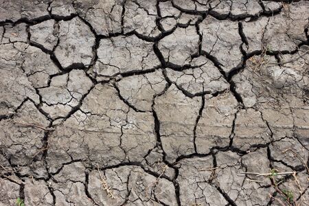 cracked crust, dried lake. Dry days.の写真素材