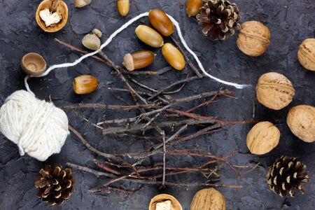 walnuts, acorns on a beautiful background, winter concept. Winter flatfly