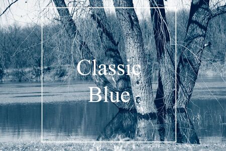 trees in the river in spring in high water, countryside. Classic blue is the main color trend of 2020. Tinted in blue color, blank for design, natural background with white frame and inscription Classic blueの写真素材