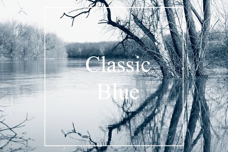 trees in the river in spring in high water, countryside. Classic blue is the main color trend of...
