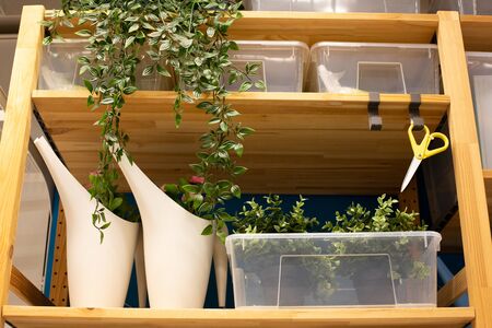 green interior .  Green cafe with hydroponic plants on the facade. Ecology and green living in city, urban environment concept. Modern building covered green plant. Abstract background.の写真素材